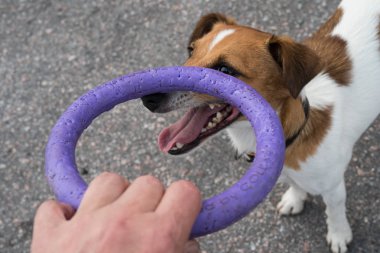 papaz Rusya korkunç