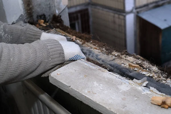 Proces usuwania starego drewnianego okna — Zdjęcie stockowe