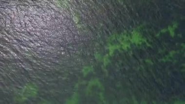 Odessa'daki Karadeniz kıyısında