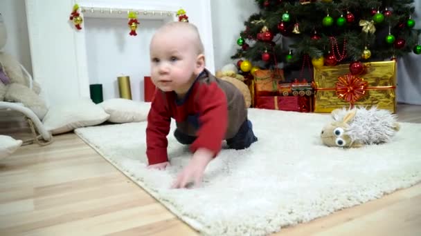 En nyfiken unge nära julgranen. — Stockvideo