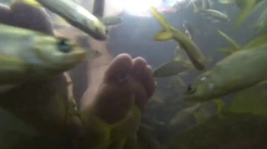 Ayak balık peeling.