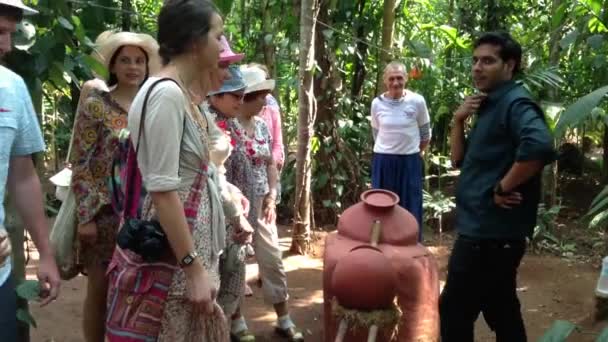 O guia fornece informações aos turistas . — Vídeo de Stock