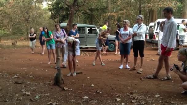 Turistas em um parque nacional . — Vídeo de Stock