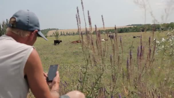 A Pásztor a tehenek kezében smartphone. Stock Felvétel