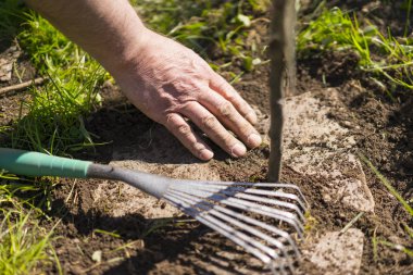 Bahçe taşları kir güneşli günde fırçalama el
