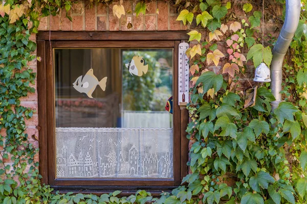 Eski moda görünümü kare pencereyi kapatın