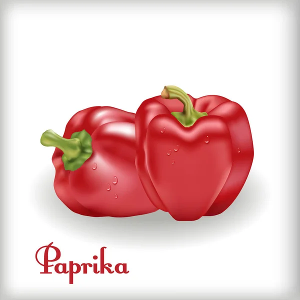 Red Sweet Bulgarian Bell Pepper — Stock Vector