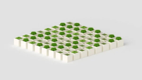 Plant green concept — Stock fotografie