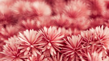 Çiçekli güzel bir arka plan. 3d illüstrasyon, 3d canlandırma