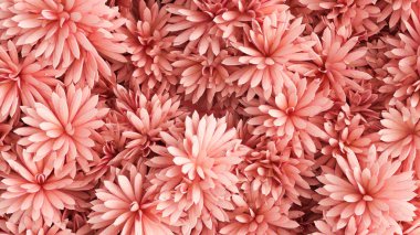 Çiçekli güzel bir arka plan. 3d illüstrasyon, 3d canlandırma