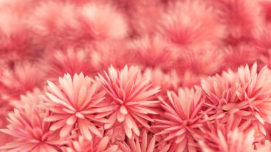 Çiçekli güzel bir arka plan. 3d illüstrasyon, 3d canlandırma