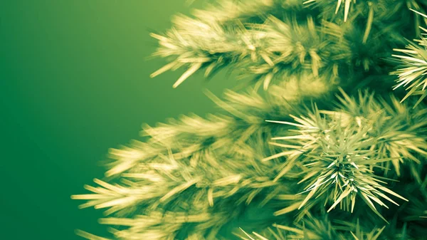 Natal, fundo com uma árvore de Natal. Ilustração 3d, renderização 3d . — Fotografia de Stock