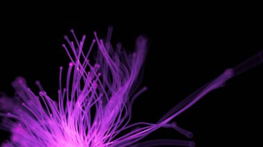 Soyut ışık parlayan altın rengi siyah arkaplan. 3d illüstrasyon, 3d canlandırma.