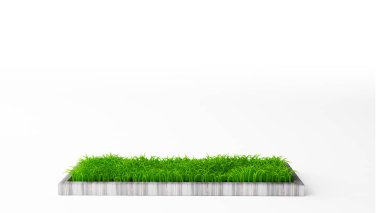 İzole edilmiş çiçek tarhında beyaz arka planda çimenler var. 3d illüstrasyon, 3d canlandırma.