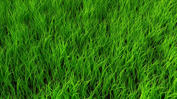 Hintergrund mit Gras. 3D Illustration, 3D Rendering. — Stockfoto