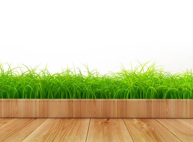 Çimenli arka plan. 3d illüstrasyon, 3d canlandırma.