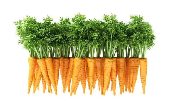 Background with a carrot. 3d illustration, 3d rendering. — Stock Photo, Image