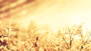 Güzel bir sonbahar arkaplanı. 3d illüstrasyon, 3d canlandırma.