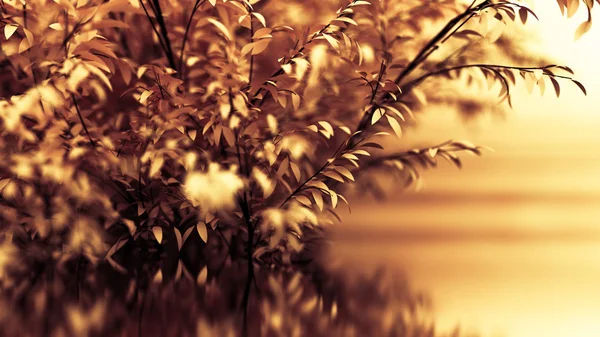 Όμορφο φθινοπωρινό φόντο. 3D απεικόνιση, 3d απόδοση. — Φωτογραφία Αρχείου