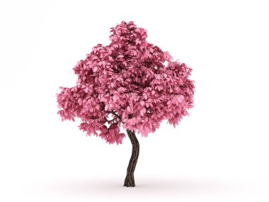 Sonbahar elementi, beyaz arka planda turuncu izole ağaç. 3d illüstrasyon, 3d canlandırma.