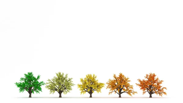 Sonbahar gelir, ağaç düşer, yapraklar dökülür. 3d illüstrasyon, 3d canlandırma. — Stok fotoğraf