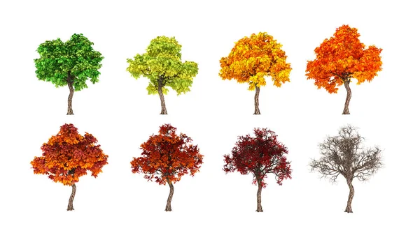 Осінь приходить, дерево, листя падає. 3d ілюстрація, 3d візуалізація . — стокове фото