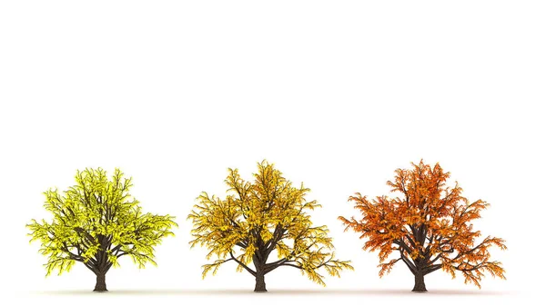 Sonbahar gelir, ağaç düşer, yapraklar dökülür. 3d illüstrasyon, 3d — Stok fotoğraf