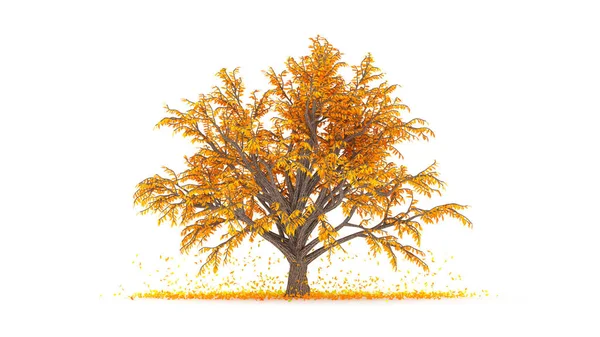 Podzimní prvek, oranžový izolovaný strom na bílém pozadí. 3D — Stock fotografie