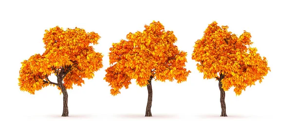 Sonbahar gelir, ağaç düşer, yapraklar dökülür. 3d illüstrasyon, 3d — Stok fotoğraf