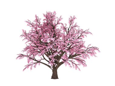 Sonbahar elementi, beyaz arka planda turuncu izole ağaç. 3d illüstrasyon, 3d canlandırma.