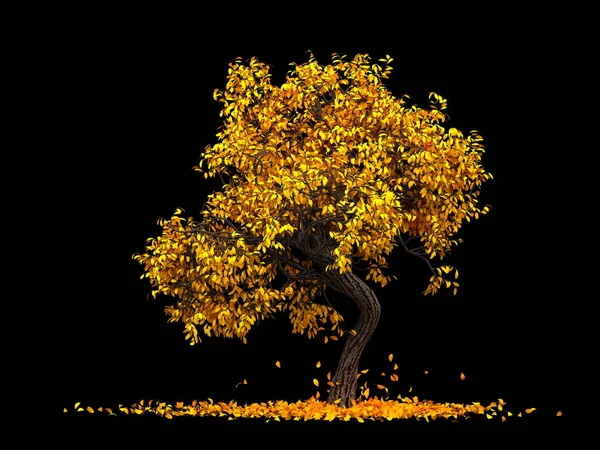 Μεμονωμένο φθινοπωρινό στοιχείο: πορτοκαλιά. 3D απεικόνιση, 3d απόδοση. — Φωτογραφία Αρχείου