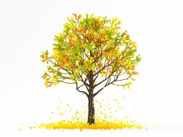 Sonbahar elementi, beyaz arka planda turuncu izole ağaç. 3d illüstrasyon, 3d canlandırma. — Stok fotoğraf