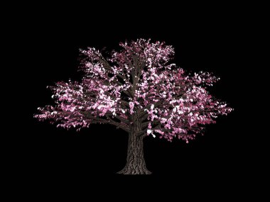 İzole edilmiş sonbahar elementi: portakal ağacı. 3d illüstrasyon, 3d canlandırma.