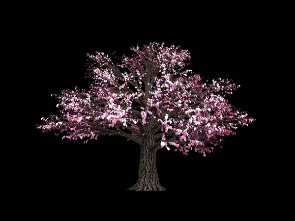 İzole edilmiş sonbahar elementi: portakal ağacı. 3d illüstrasyon, 3d canlandırma.