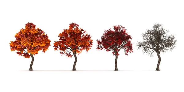 Осінь приходить, дерево, листя падає. 3d ілюстрація, 3d r — стокове фото