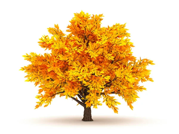 Autumnal element, oranje geïsoleerde boom op een witte achtergrond. 3d illustratie, 3d weergave. — Stockfoto
