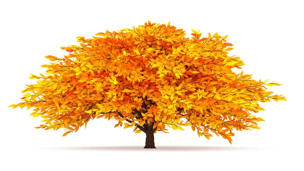 Autumnal Element Oranje Geïsoleerde Boom Een Witte Achtergrond Weergave Illustratie — Stockfoto