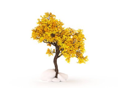 Sonbahar elementi, beyaz arka planda turuncu izole ağaç. 3d görüntüleme, 3d illüstrasyon.