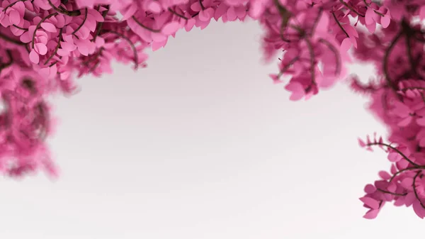 Schöne Rosa Hintergrund Mit Blättern Auf Weiß Die Saison Des — Stockfoto
