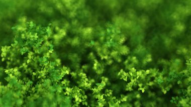 Yapraklarla dolu güzel bir yaz geçmişi var. 3d görüntüleme, 3d illüstrasyon.