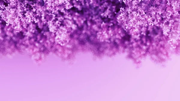 美丽的紫色背景 3D渲染 3D插图 — 图库照片
