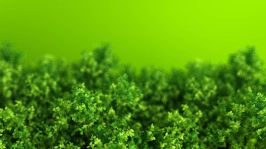 Yapraklarla dolu güzel bir yaz geçmişi var. 3d görüntüleme, 3d illüstrasyon.