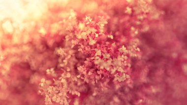 Yılın mevsimi yapraklı, güzel pembe bir arka plan. 3d görüntüleme, 3d illüstrasyon.