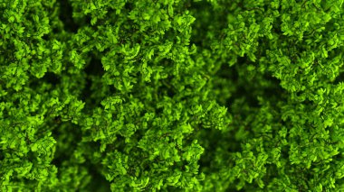 Yapraklarla dolu güzel bir yaz geçmişi var. 3d görüntüleme, 3d illüstrasyon.