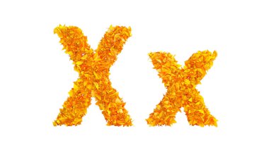 Sonbahar yazı tipi. 3d görüntüleme 3d