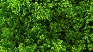 Yapraklarla dolu güzel bir yaz geçmişi var. 3d görüntüleme, 3d illüstrasyon.