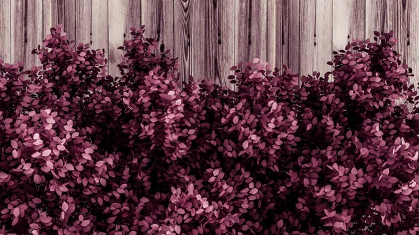 Beau Fond Rose Avec Des Feuilles Une Texture Bois Saison — Photo