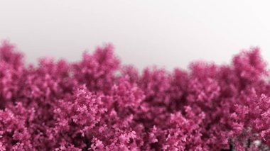 Yılın mevsimi, beyaz yapraklı, güzel pembe arka plan. 3d görüntüleme, 3d illüstrasyon.