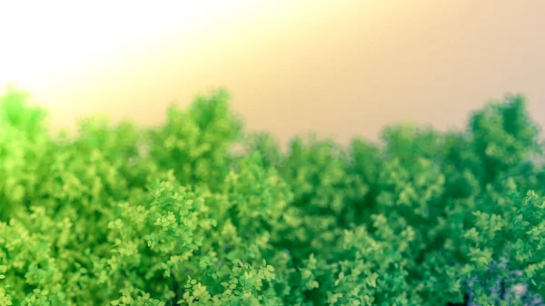 Prachtige Zomerse Achtergrond Met Bladeren Weergave Illustratie — Stockfoto