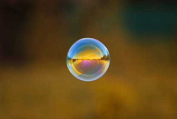 round iridescent soap bubble flying over the Sunny meadow with t